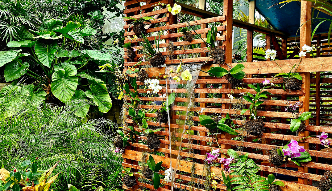 Lanai exhibit at Reiman Gardens conservatory