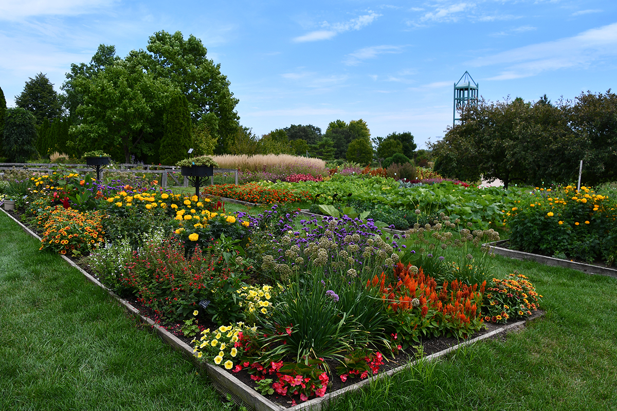 Reiman Gardens Trial Gardens with bright colored flowers and plnts