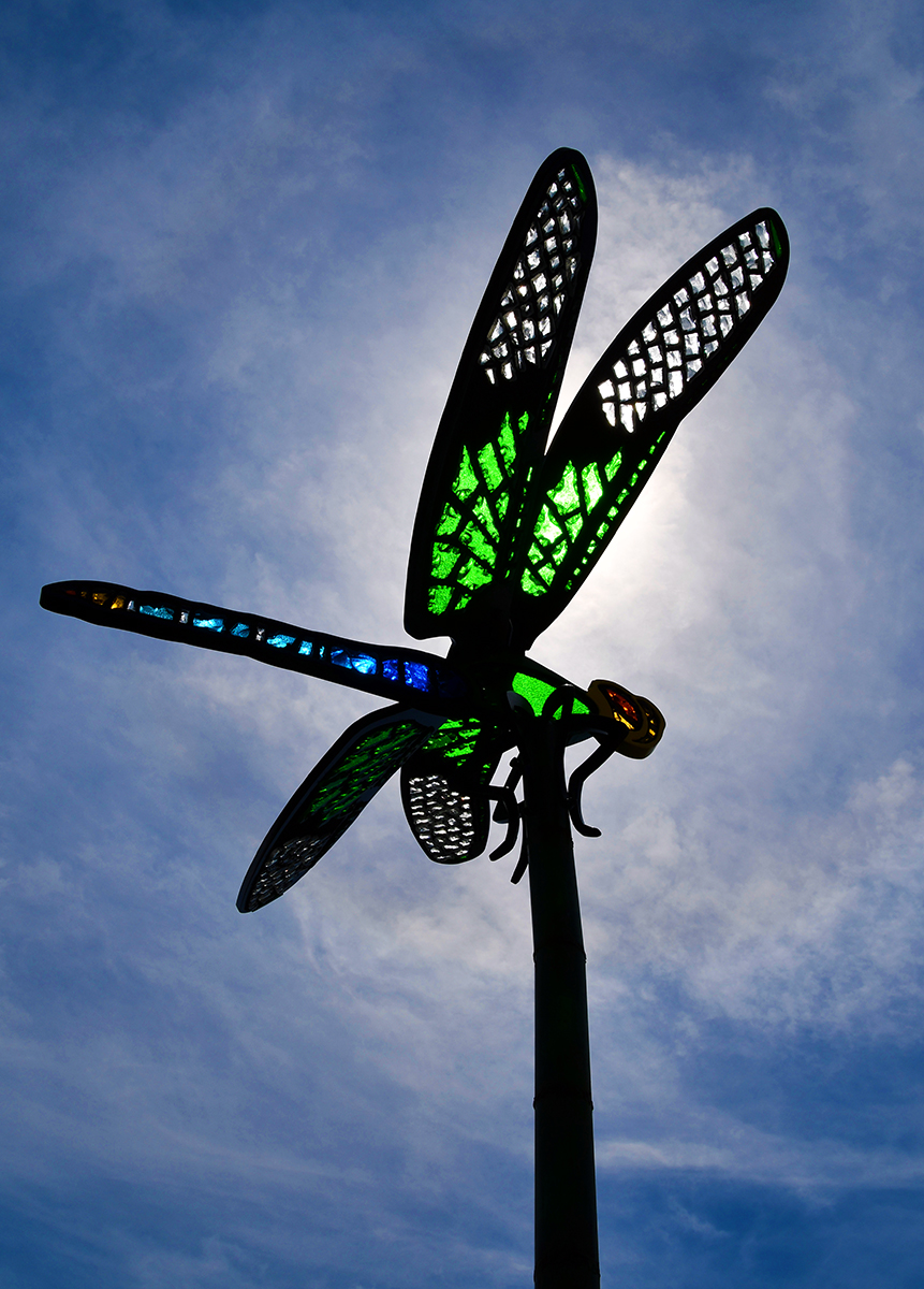 Glass in Flight sculpture exhibit stained glass dragonfly