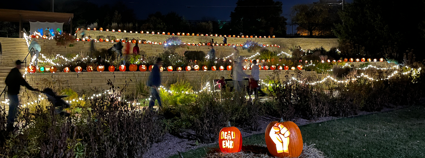 Jack-o-lanterns lit up along the walls of Hillside Garden, with visitors climbing the gardens to see each lit in the dark.