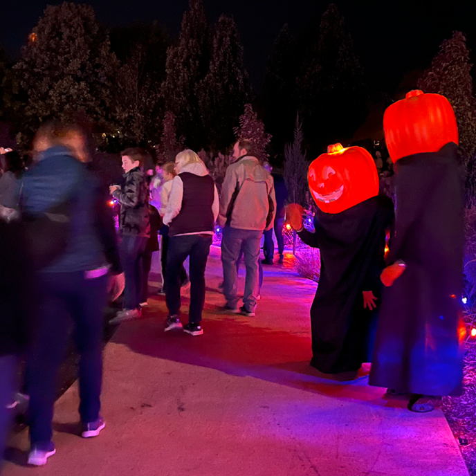 Jack-o-Lantern heads with visitors in the dark.