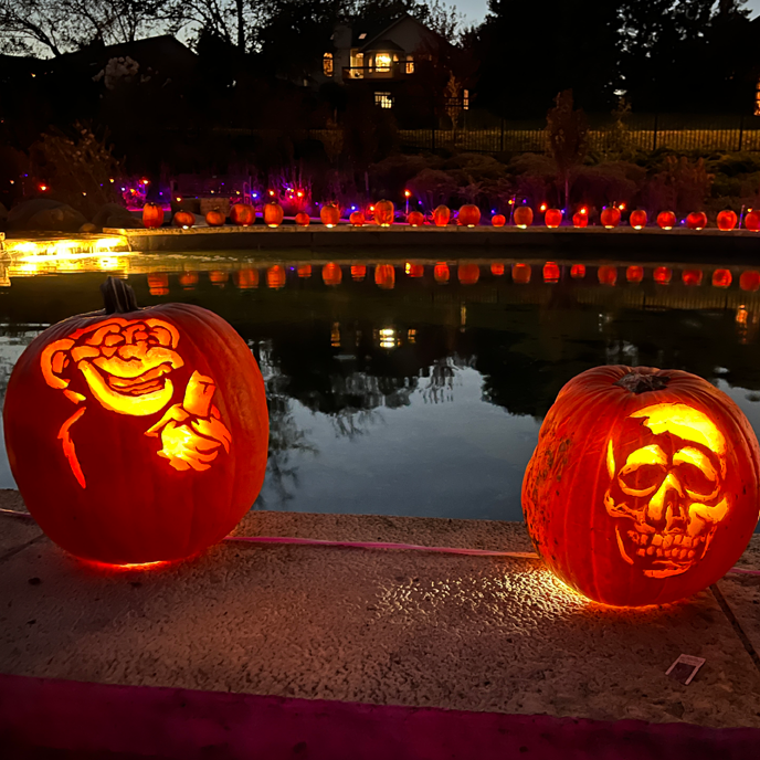 Jack-o-lanterns line the water feature at Sycamore Falls.