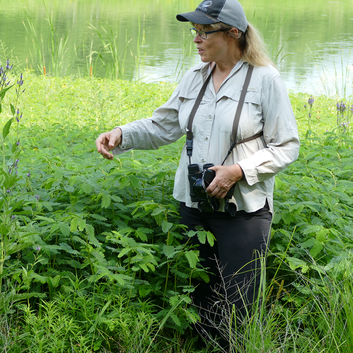 IBSN volunteer in the field.